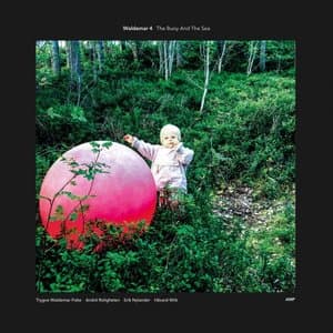 The Buoy and the Sea