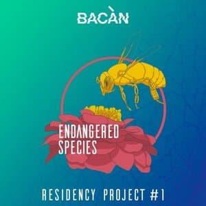 Bacan Residency Project, No. 1