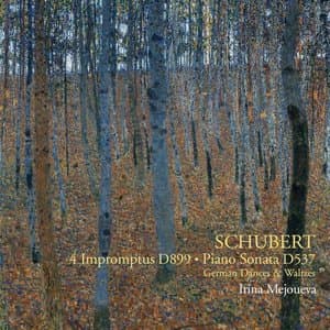 Schubert: 4 Impromptus D. 899, Piano Sonata D. 537, etc.