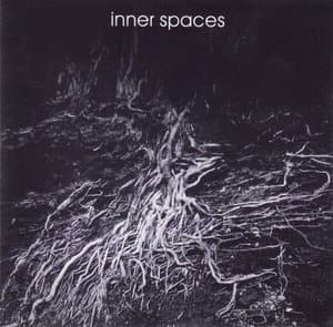 Inner Spaces
