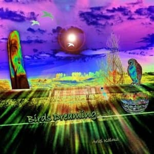Birds Dreaming