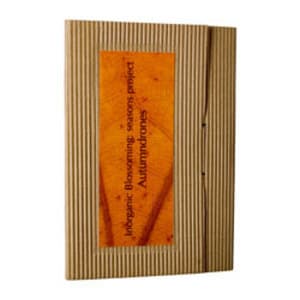 Seasons Project: Autumndrones