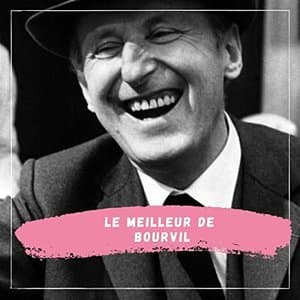 Le Meilleur de Bourvil