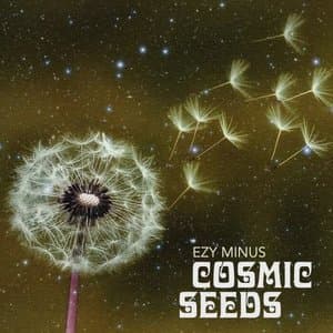 Cosmic Seeds