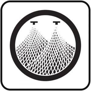 A Life Saved By A Spider And Two Doves