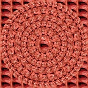 Apologize to the Future