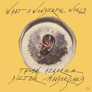 What A Wonderful World