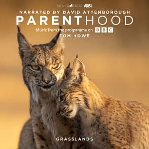 Parenthood: Grasslands (Music From The Programme On BBC)