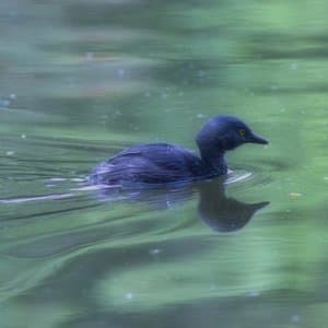 Dormir Un Ano Entero