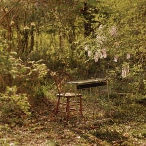 For Dancing In Quiet Light