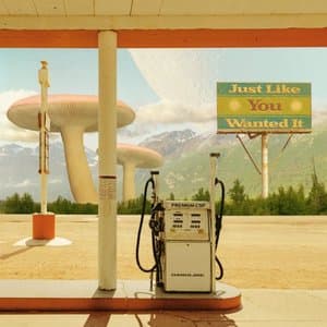 Just Like You Wanted It