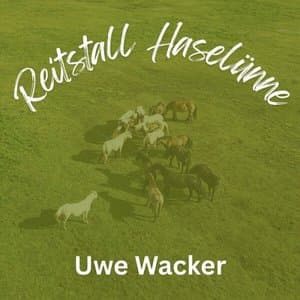 Reitstall Haselunne