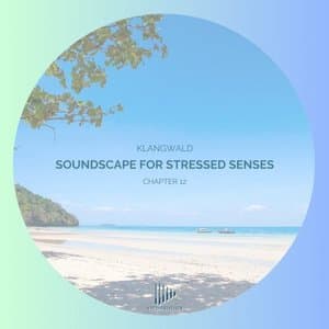 Soundscape For Stressed Senses Chapter 12