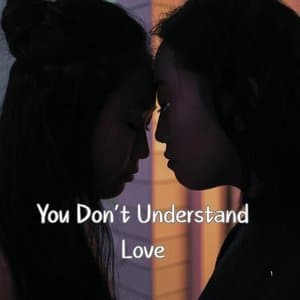 You Dont Understand Love