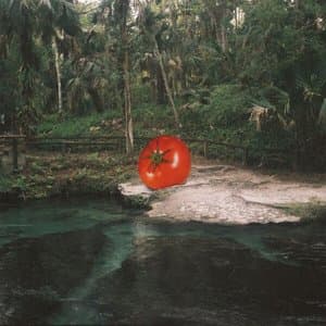 I Just Cant Wait To Die