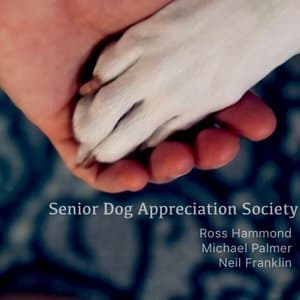 Senior Dog Appreciation Society