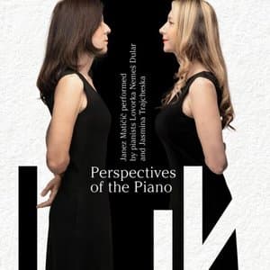 Perspectives of the Piano