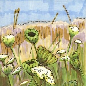 Years at the Unknown