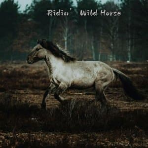Ridin Wild Horse