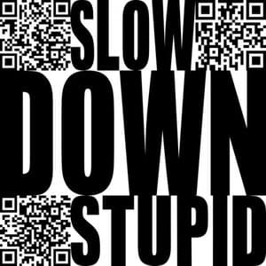 Slow Down Stupid