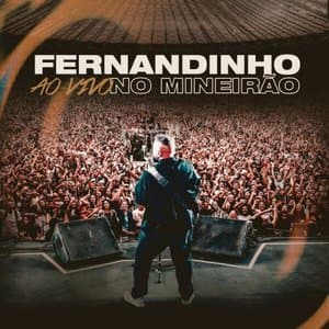 Fernandinho (Ao Vivo no Mineirao)