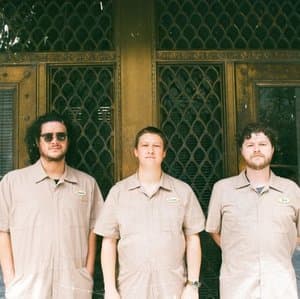 The Coded Flight of Birds