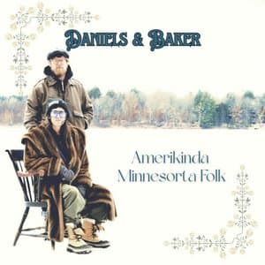 Amerikinda Minnesorta Folk