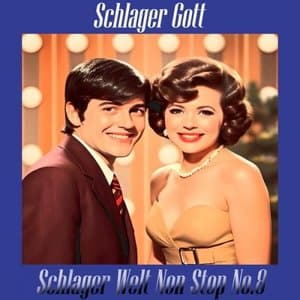 Schlager Welt Non Stop No. 8
