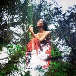 Feed the Fire, Breathe the Night