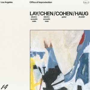 14. Lay/Chen/Cohen/Haug