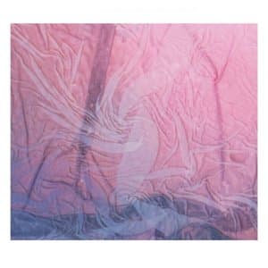 A Life We Once Lived