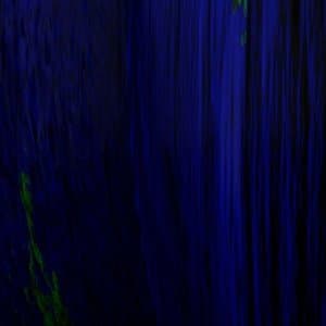 Beginners Mind Signal Funk