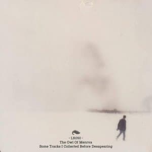 Some Tracks I Collected Before Disapearing