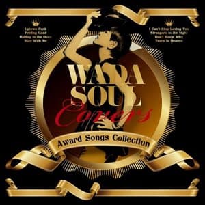 WADASOUL COVERS ~Award Songs Collection