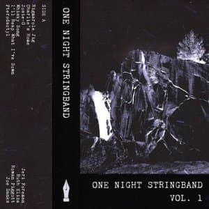 One Night Stringband Vol. 1