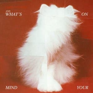 And Whats on Your Mind