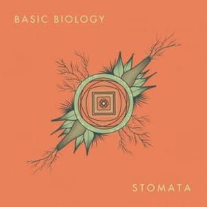 Stomata