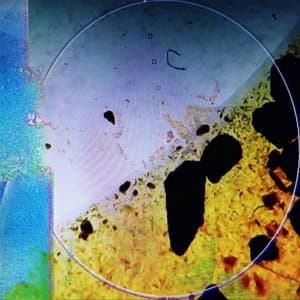 living in memory of something sweet