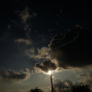 The Kid Got Electric