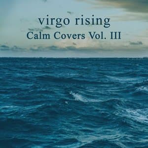 Calm Covers, Vol. 3