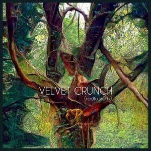VELVET CRUNCH (radio edits)