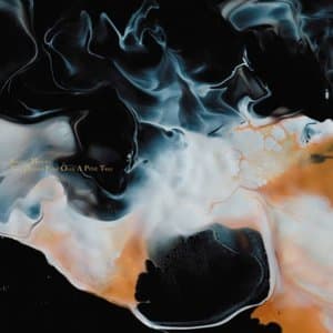 Two Dreams Flew over a Pine Tree