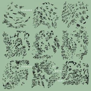 Signals At Both Ears