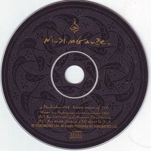 Iranian Female Olympic Table Tennis Team Theme