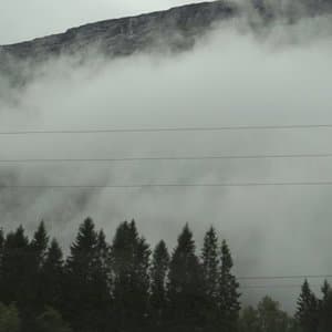 Wandering Mind, Drifting Weather