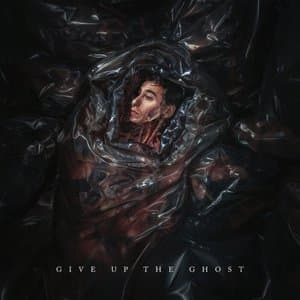 Give Up The Ghost