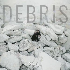Debris