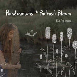 Bulrush Bloom
