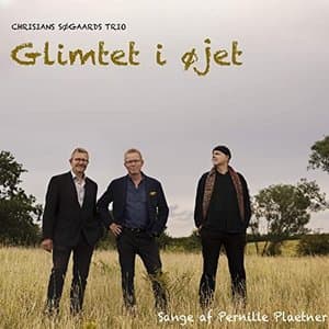 Glimtet i ojet