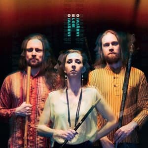 Ojajarvi - Blom - Ojajarvi